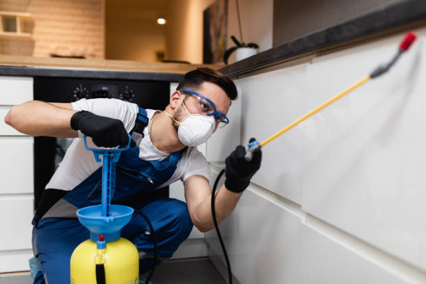 Best Rat Extermination Near Me  in Orland Hls, IL