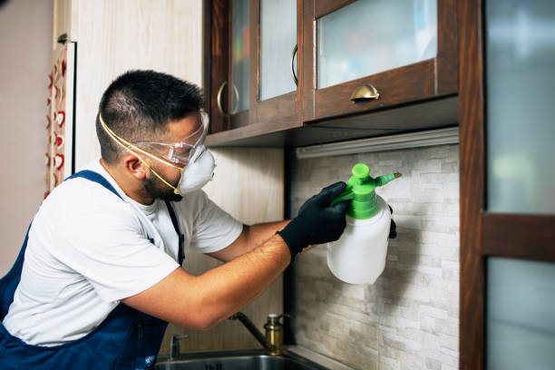 Best Ant Control Services  in Orland Hls, IL