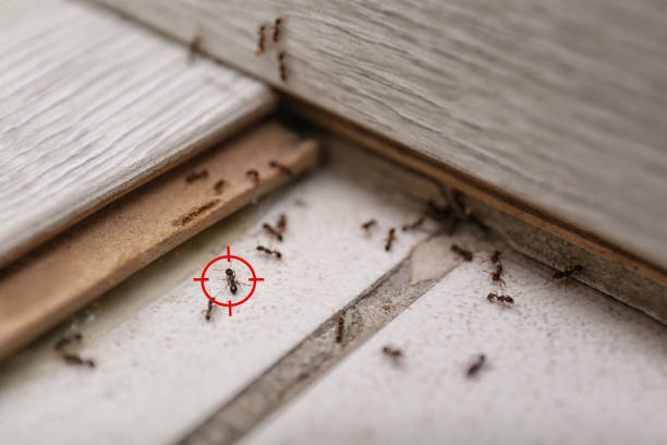 Orland Hills, IL Pest Control Company