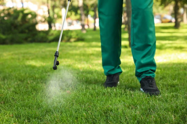 Best Termite Control Services  in Orland Hls, IL