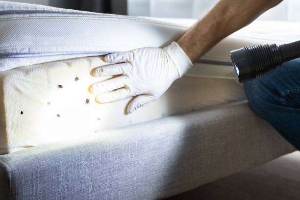 Best Exterminator Services  in Orland Hls, IL