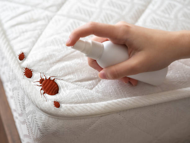 Pest Control for Restaurants in Orland Hills, IL