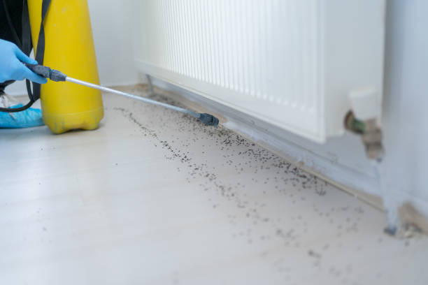 Best Pest Removal Services  in Orland Hls, IL