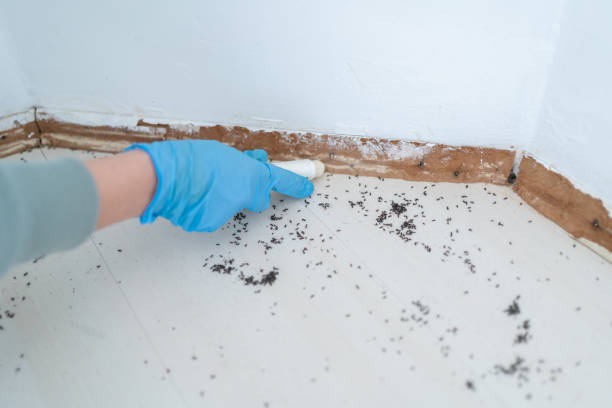 Best Pest Inspection Near Me  in Orland Hls, IL