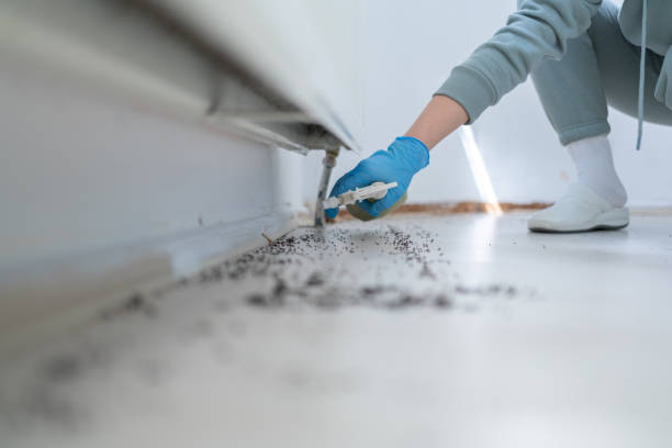 Best Pest Control for Restaurants  in Orland Hls, IL